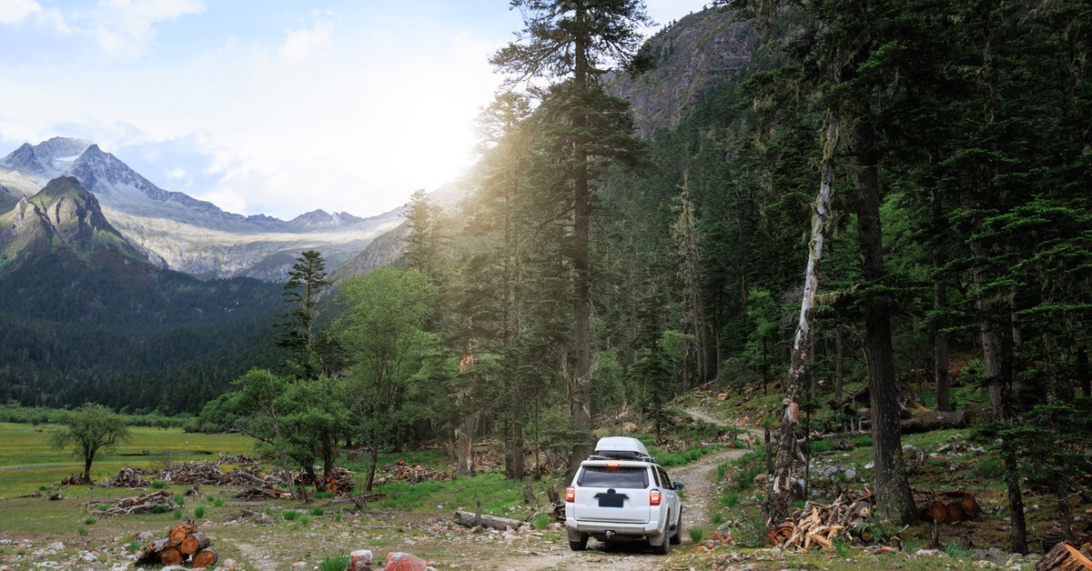 A white Toyota 4Runner drives into a forest with some felled trees in the foreground and mountains in the background.